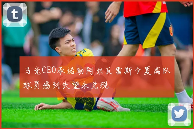 马竞CEO承诺助阿尔瓦雷斯今夏离队球员感到失望未兑现