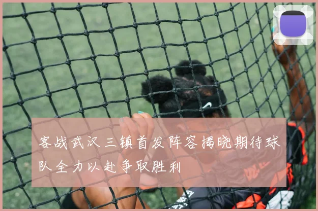 客战武汉三镇首发阵容揭晓期待球队全力以赴争取胜利